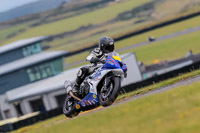 PJ-Motorsport-2019;anglesey-no-limits-trackday;anglesey-photographs;anglesey-trackday-photographs;enduro-digital-images;event-digital-images;eventdigitalimages;no-limits-trackdays;peter-wileman-photography;racing-digital-images;trac-mon;trackday-digital-images;trackday-photos;ty-croes